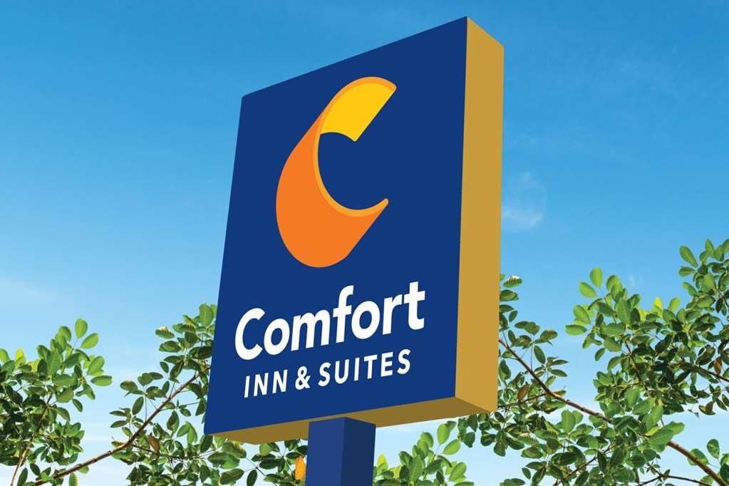 Comfort Inn & Suites High Point - Archdale Exteriér fotografie